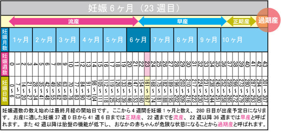 妊娠6ヶ月(23週目)カレンダー