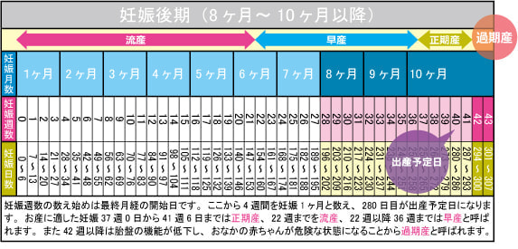 妊娠後期(8ヶ月~10ヶ月以降)カレンダー