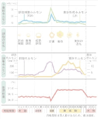 黄体ホルモングラフ