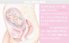 妊娠と腰痛の関係