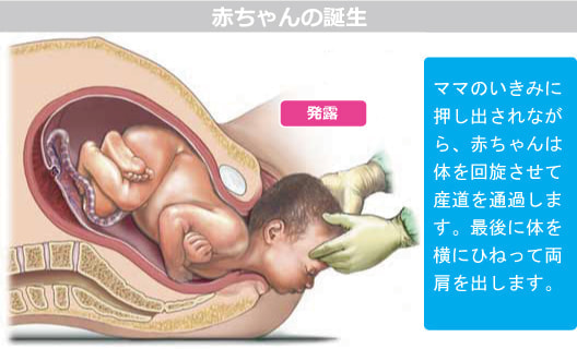 出産時のママと赤ちゃん 後陣痛 後産