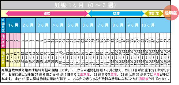 妊娠1ヶ月(0~3週)カレンダー