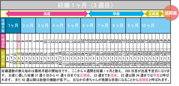妊娠1ヶ月(3週目)カレンダー