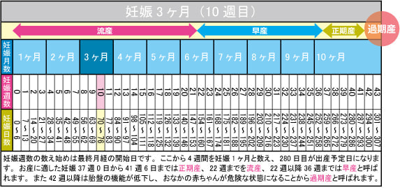 妊娠3ヶ月(10週目)カレンダー