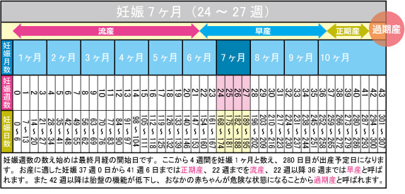 妊娠7ヶ月(24~27週)カレンダー