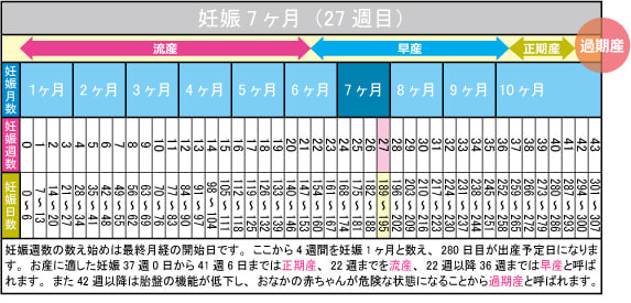 妊娠7ヶ月(27週目)カレンダー