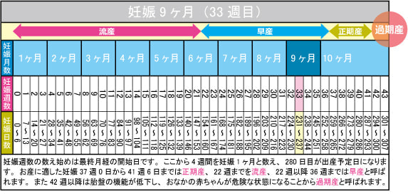 妊娠9ヶ月(33週目)カレンダー