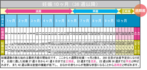 妊娠10ヶ月(36週~41週)カレンダー